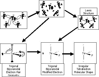 tellriumtetrafluoridestructure.jpeg